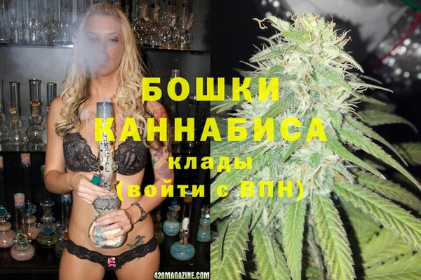 гидра Балахна