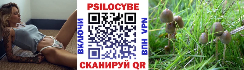 мега рабочий сайт  Теберда  Псилоцибиновые грибы Psilocybe 